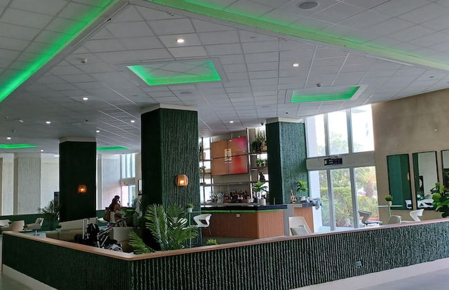 Mare 1562 - Photo 29