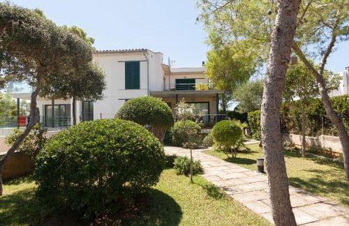 Baulo Pleta - Foto 28