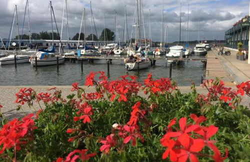 Ferienwohnung mit Terrasse - Insel Usedom - Foto 52
