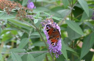 1 Woodlands - Photo 44