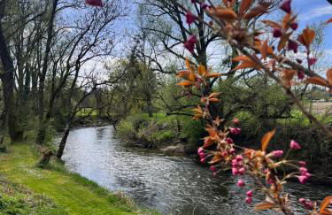 Am Flussgarten - Foto 6