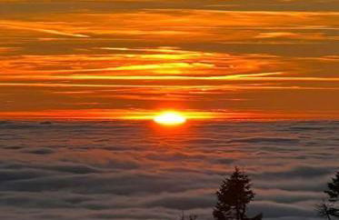 Schönes Apartment / Ferienwohnung am Regen - Foto 22