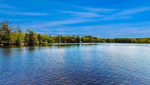 Ladyslipper Cottage - Foto 4