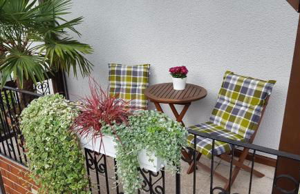 Ferienhaus Mandelblüte - Foto 2