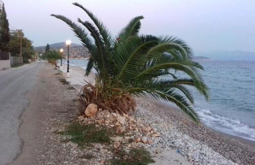 FAMILY HOUSE NEAR THE BEACH DREPANO-NAFPLIo - Foto 31
