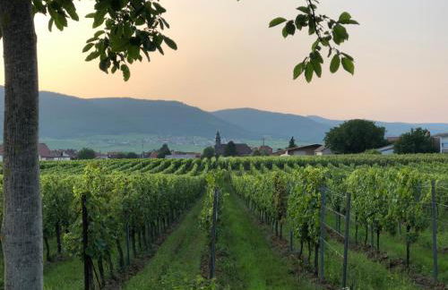 Ferienwohnung Südpfalz mit Fernblick - Foto 22