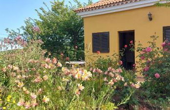 Casa Fátima Valle Gran Rey - Foto 34