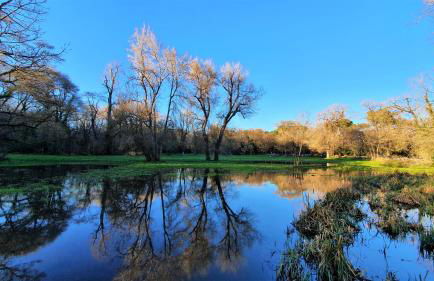 L'Atalante, 2 pièces 47m2 rénové résidence piscine - Foto 21