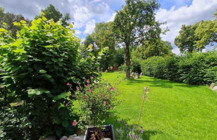 Mutti 's Landhof - Foto 21