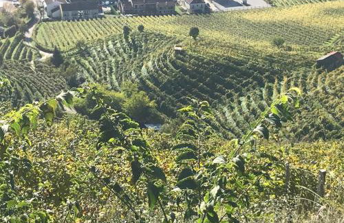 CASA San Gallo - Foto 32