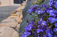 Nouveau Maison campagne Plouescat - TyPra - Foto 38