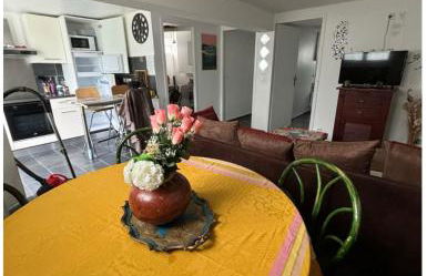 Appartement 4 personnes proche Landes et Côte Basque - Foto 6