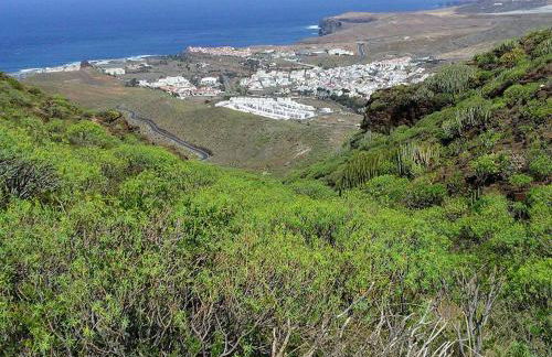 Apartamento Playa Agaete - Foto 45