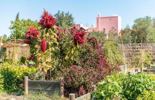 Villa Arabesque - Foto 14