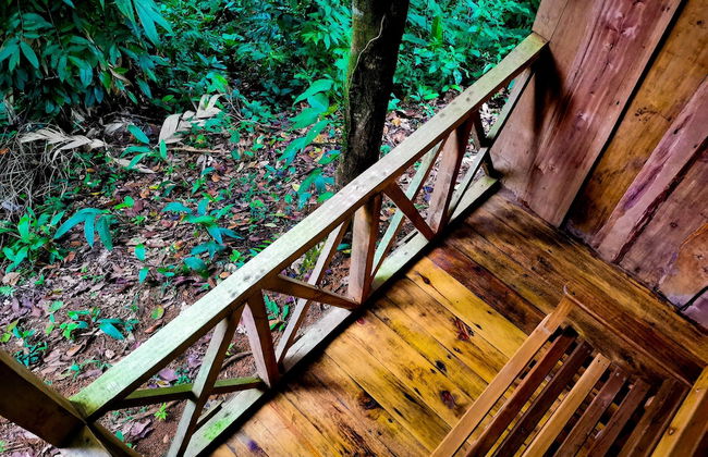 Citronela Lodge Corcovado - Foto 14