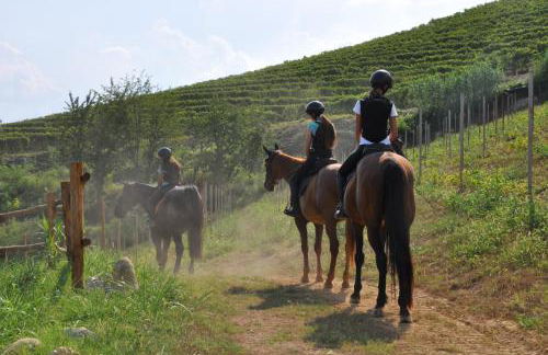 Agriturismo Le Querce del Vareglio - Foto 6
