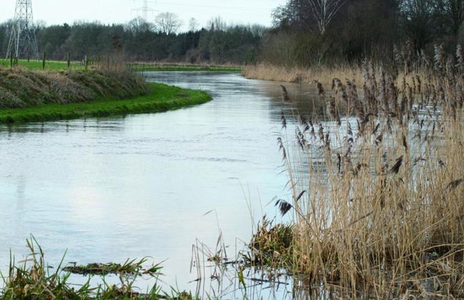 Modern Chalet With Nice Sliding Doors Near Lochem - Foto 38