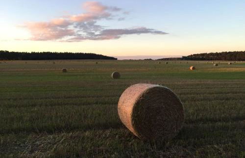 Hildchen Comfortable holiday residence - Foto 13