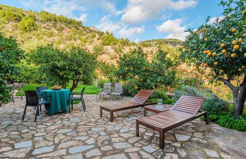 Se Teulere - Foto 20