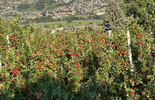 Maison Moline - Foto 50