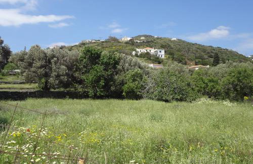 Korthi central appartment by the seaside. - Photo 23