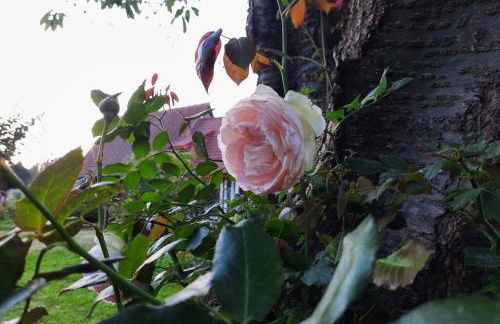 La Lanterne: Grande maison à deux pas de la mer - Foto 23