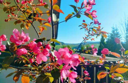 Dottie's Place - Foto 4