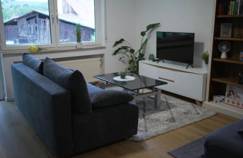 Apartment Ferienwohnung mit Grünem Blick Terrasse & Neu saniert Bordinghaus 24h Check-In in Freudenberg am Main - Foto 56