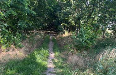 TOP-Ferienwohnung bei Berlin, bis 3 Gäste, Terrasse und Garten - Foto 33