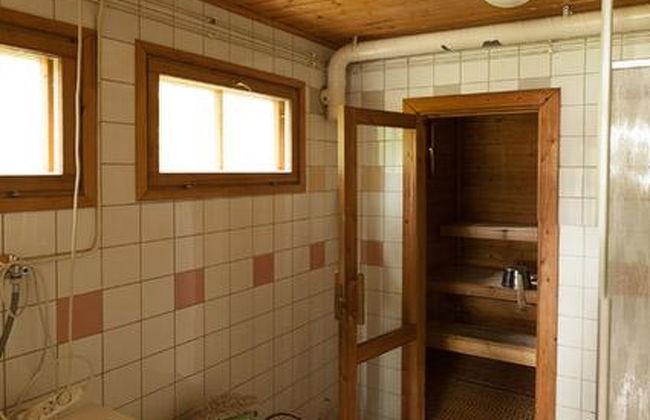 Keltavuokko - Foto 15