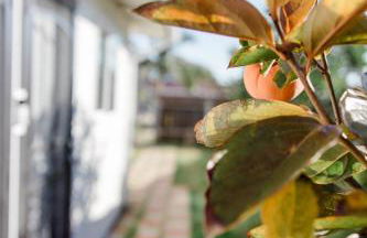 Mira Mesa Private Suite with Private Bath & Entry #1 - Photo 3