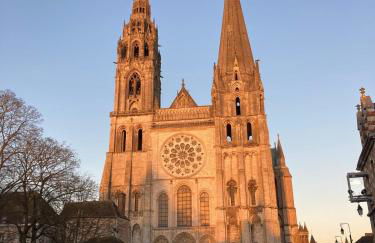 Le Célestin - Cathédrale à 400 m - Foto 21