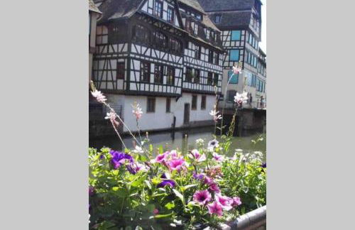 Coeur Alsace - Foto 41