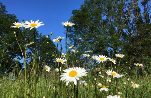 Luna caravane Vintage - Photo 21