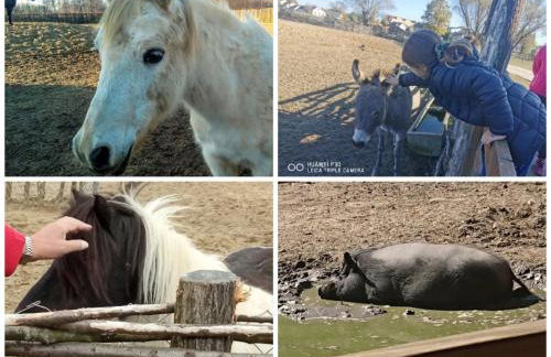 Apartman Batuda,moderno opremljen apartman u centru Đurđevca, u cijeni WELLNESS, sauna, bazen u obližnjem hotelu, mini zoo, 5G internet, R1 račun - Foto 32