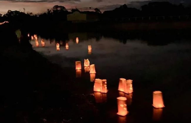 Kur Cow farm - Foto 15