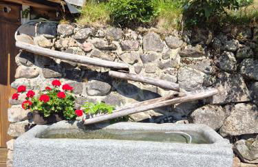 Echtes Schwarzwaldhaus - Traditionell & Modern - Foto 78
