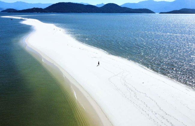 Avvistamento di delfini all'isola di Marambaia - Foto 2