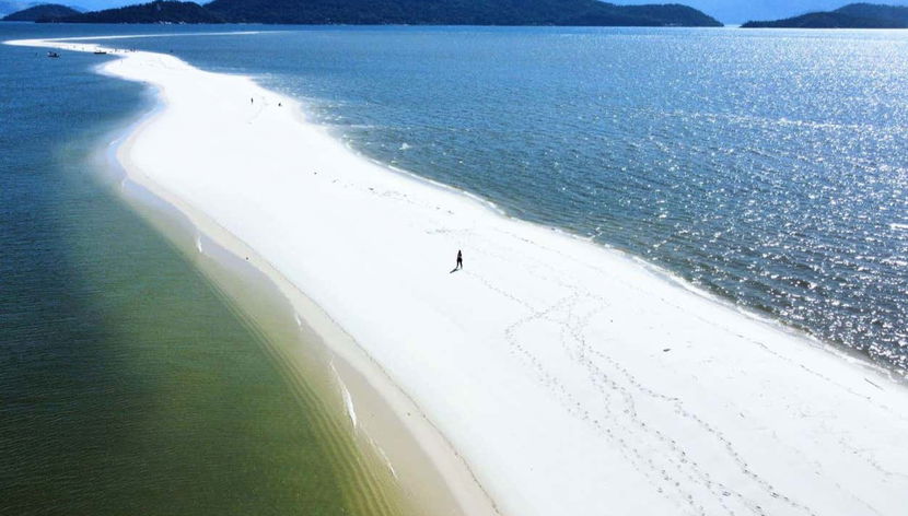 Observation de dauphins sur l'île de Marambaia - Photo 2