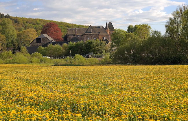 Chalet in Gerolstein Near Forest Trails - Foto 25