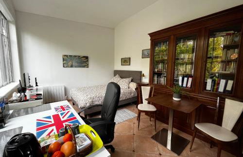 Charming independent guest house - spacious studio with terrace and garden, 25 minutes from Paris - Foto 4