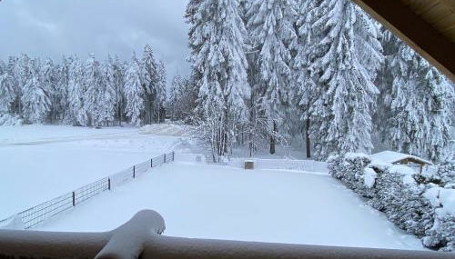 Blockhaus Rennsteig - Foto 3