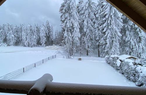 Blockhaus Rennsteig - Foto 3