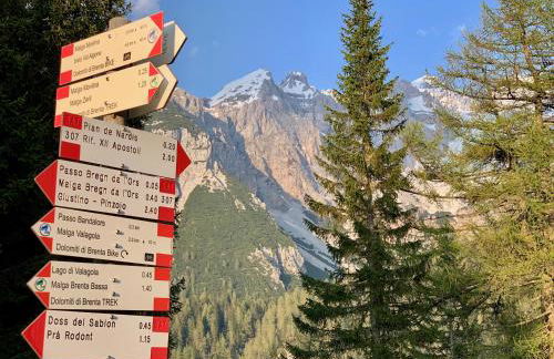 Maso Azzurro Chalet - Foto 15