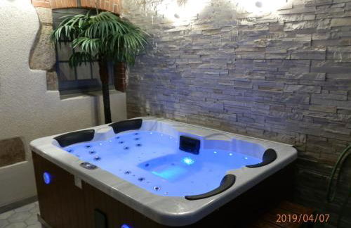 GITE IZALIN AVEC SPA A 20 min du Puy du Fou - Foto 1