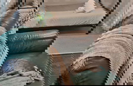 The Retreat Port Stephens - Foto 37