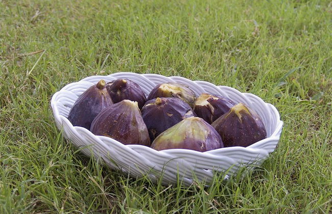 Il Casino di Donna Maria - Foto 47