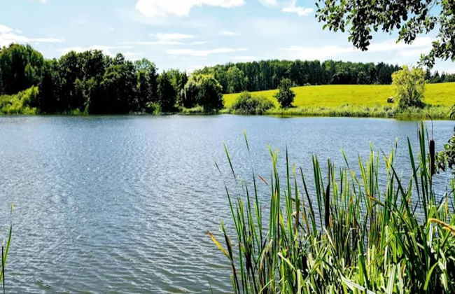 Ferienwohnung mit Terrasse in Kropelin - Foto 34
