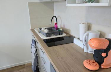 303 - Strasbourg appartement Green refait à neuf - Foto 18