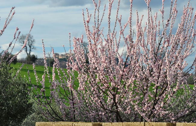 Agriturismo La Limonaia - Foto 52